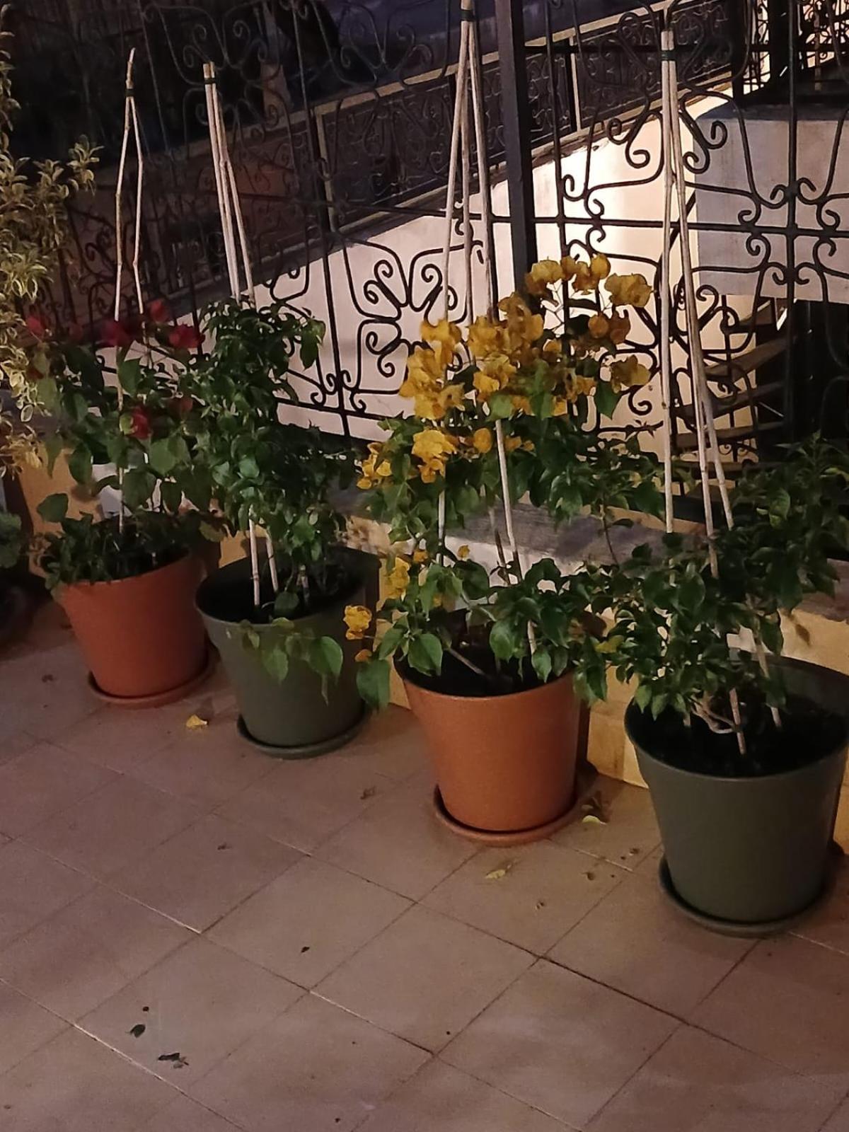 Riad Dantella マラケシュ エクステリア 写真
